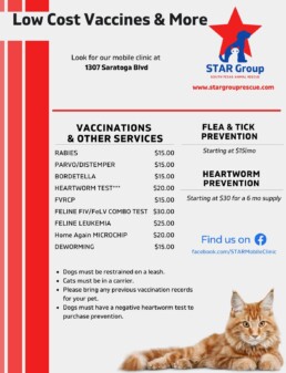 low cost pet vaccines - Low Cost Spay and neuter in Corpus Christi Texas - Star Group Rescue